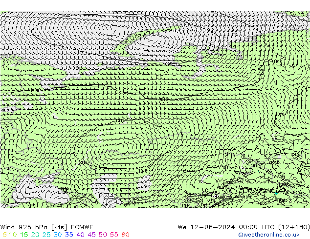 ветер 925 гПа ECMWF ср 12.06.2024 00 UTC