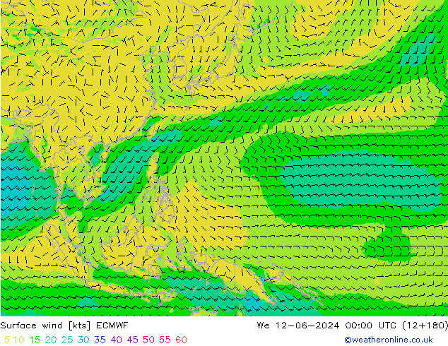 Surface wind ECMWF We 12.06.2024 00 UTC