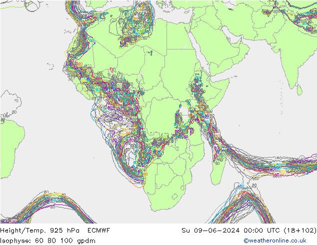 Géop./Temp. 925 hPa ECMWF dim 09.06.2024 00 UTC