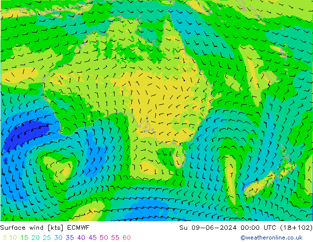 Surface wind ECMWF Su 09.06.2024 00 UTC