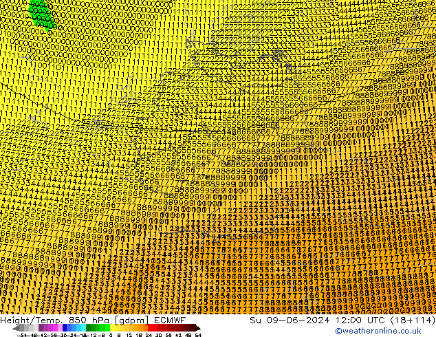 Height/Temp. 850 гПа ECMWF Вс 09.06.2024 12 UTC