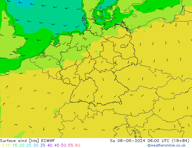 Surface wind ECMWF Sa 08.06.2024 06 UTC