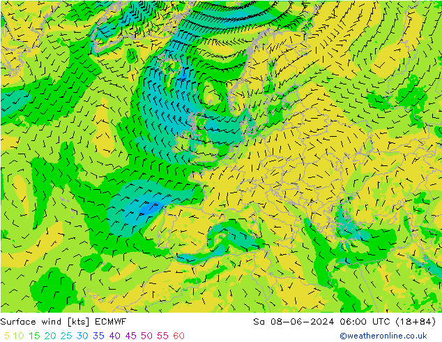 Surface wind ECMWF Sa 08.06.2024 06 UTC