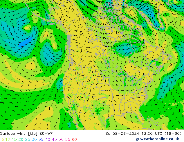 Surface wind ECMWF Sa 08.06.2024 12 UTC