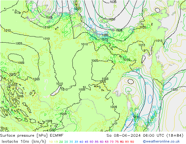 Izotacha (km/godz) ECMWF so. 08.06.2024 06 UTC