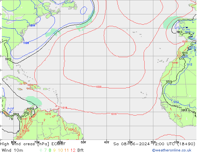 High wind areas ECMWF Sa 08.06.2024 12 UTC