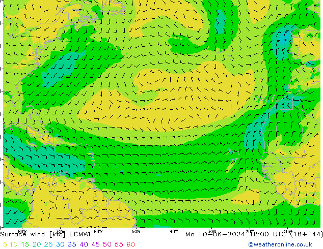 Wind 10 m ECMWF ma 10.06.2024 18 UTC