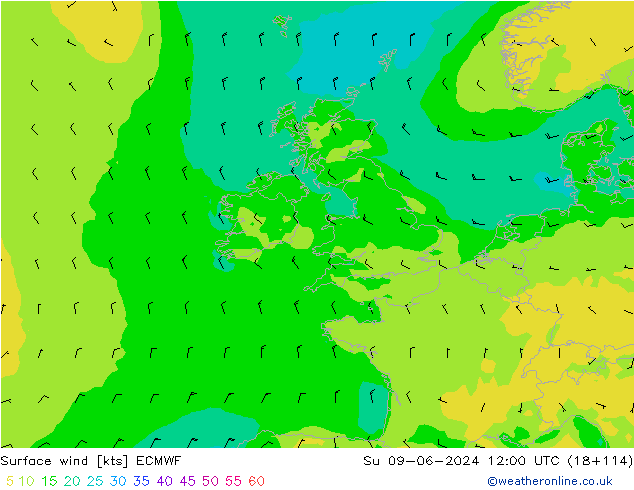 ветер 10 m ECMWF Вс 09.06.2024 12 UTC