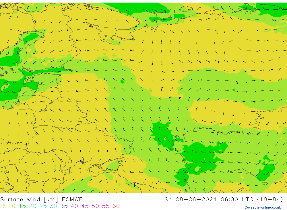 Vent 10 m ECMWF sam 08.06.2024 06 UTC