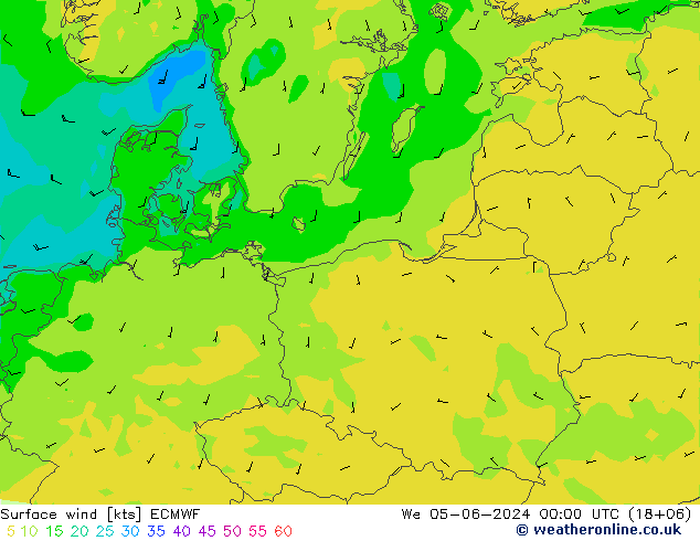 Surface wind ECMWF We 05.06.2024 00 UTC