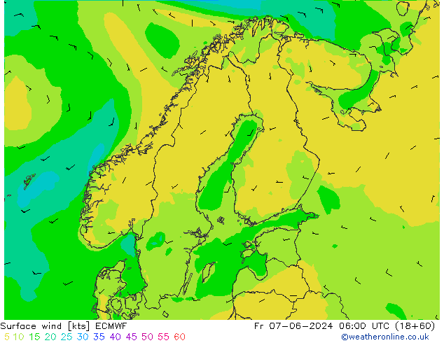 Bodenwind ECMWF Fr 07.06.2024 06 UTC