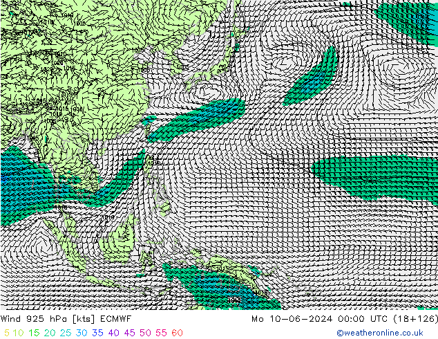 Rüzgar 925 hPa ECMWF Pzt 10.06.2024 00 UTC