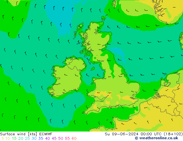  10 m ECMWF  09.06.2024 00 UTC