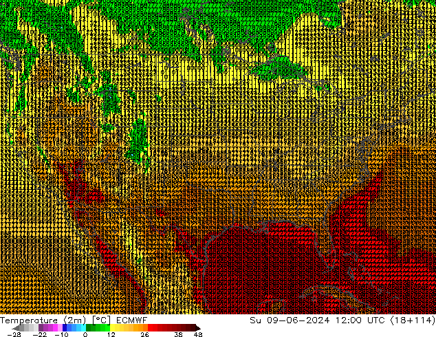 Temperaturkarte (2m) ECMWF So 09.06.2024 12 UTC