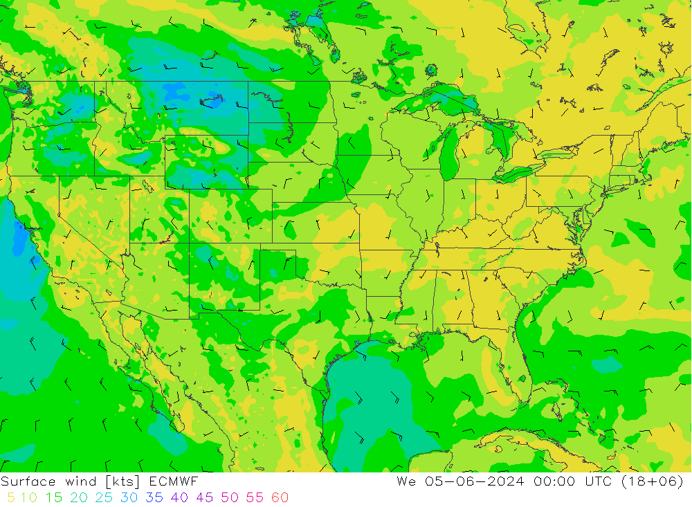 ветер 10 m ECMWF ср 05.06.2024 00 UTC