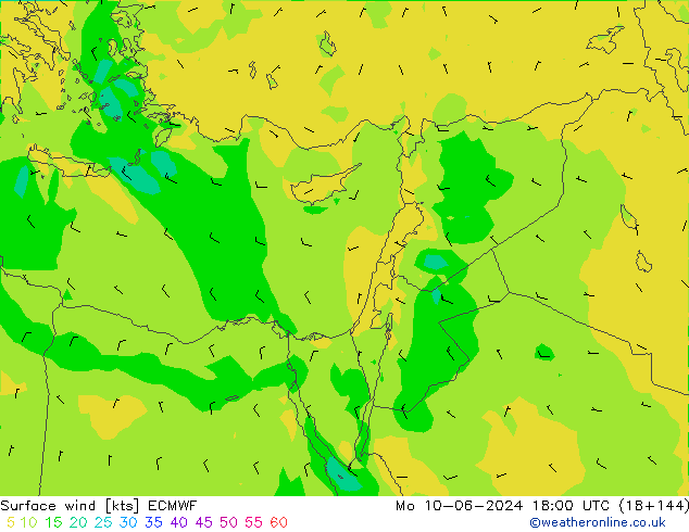 ветер 10 m ECMWF пн 10.06.2024 18 UTC