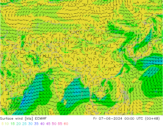 Viento 10 m ECMWF vie 07.06.2024 00 UTC