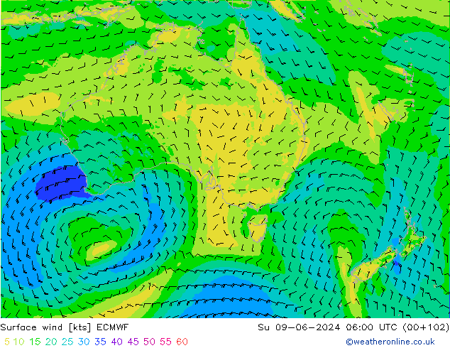 Surface wind ECMWF Su 09.06.2024 06 UTC