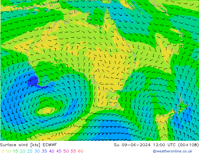 Viento 10 m ECMWF dom 09.06.2024 12 UTC