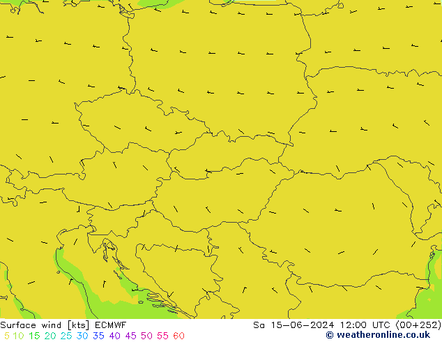  10 m ECMWF  15.06.2024 12 UTC