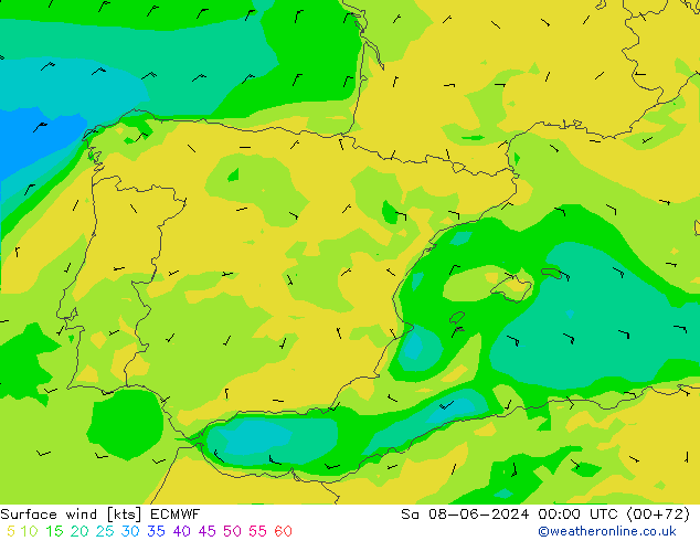 Vento 10 m ECMWF sab 08.06.2024 00 UTC