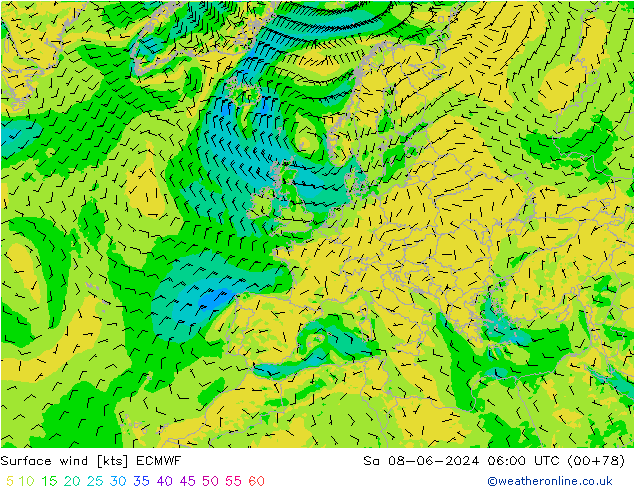 Surface wind ECMWF So 08.06.2024 06 UTC