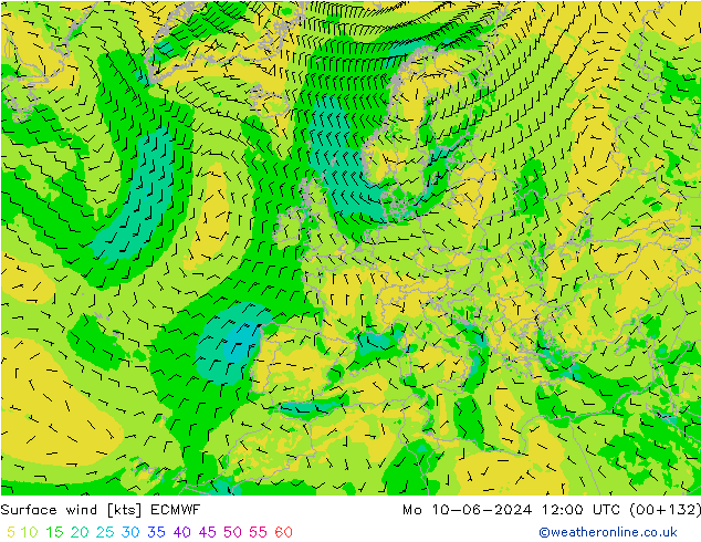 Vento 10 m ECMWF Seg 10.06.2024 12 UTC