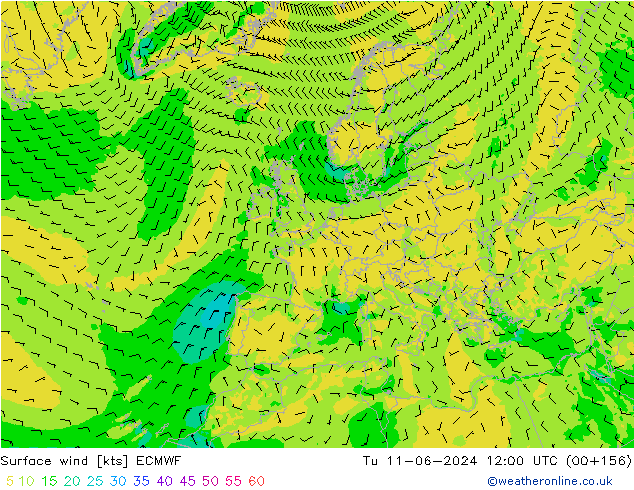 Vent 10 m ECMWF mar 11.06.2024 12 UTC