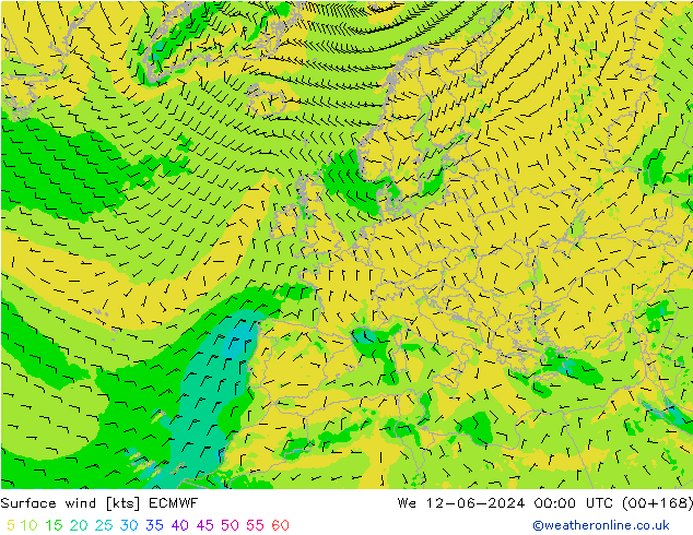 Vent 10 m ECMWF mer 12.06.2024 00 UTC