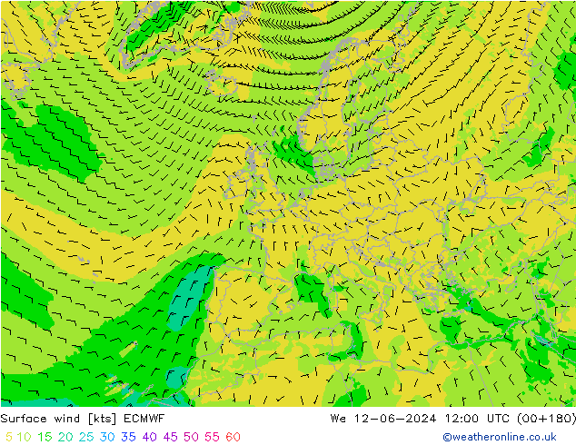 Wind 10 m ECMWF wo 12.06.2024 12 UTC