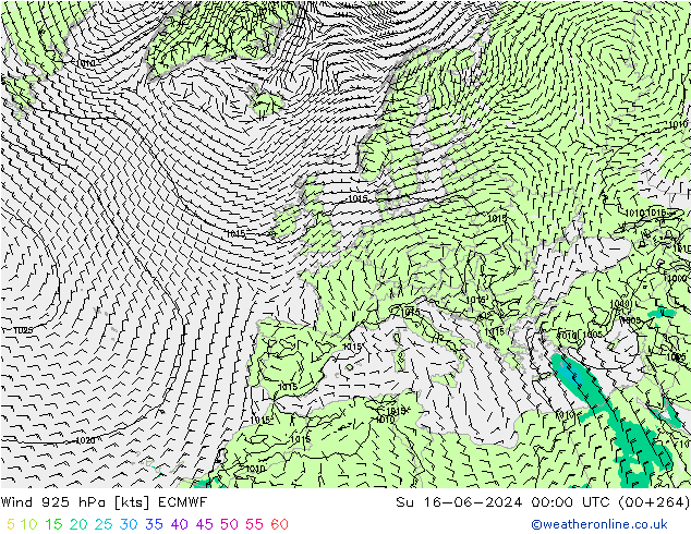 ветер 925 гПа ECMWF Вс 16.06.2024 00 UTC