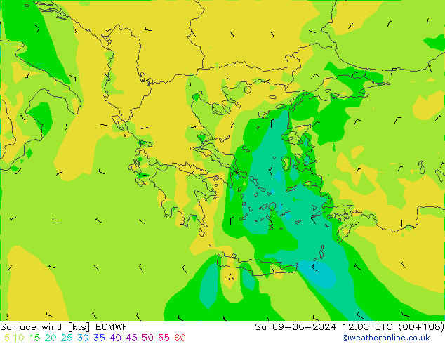 Surface wind ECMWF Su 09.06.2024 12 UTC