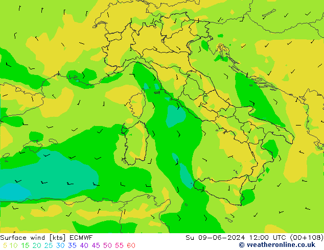 wiatr 10 m ECMWF nie. 09.06.2024 12 UTC