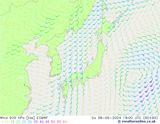 Wind 925 hPa ECMWF Sa 08.06.2024 18 UTC