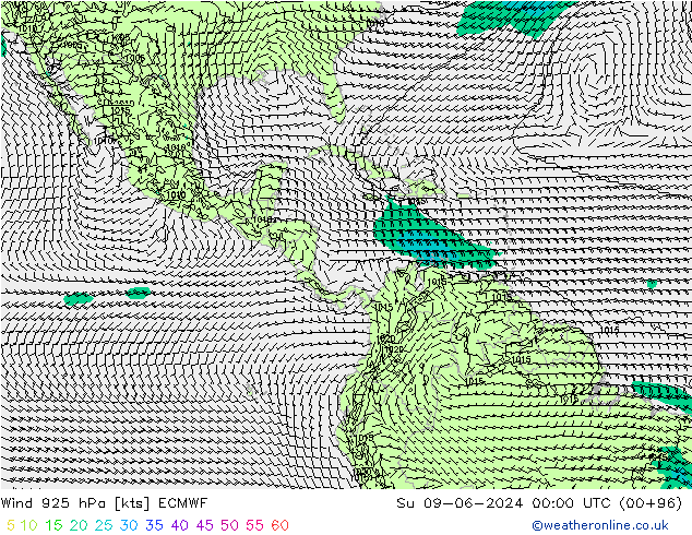 Wind 925 hPa ECMWF Su 09.06.2024 00 UTC