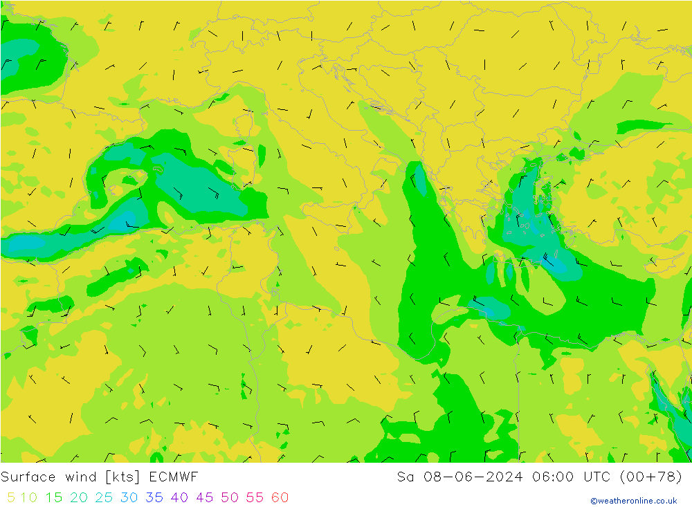 Surface wind ECMWF Sa 08.06.2024 06 UTC