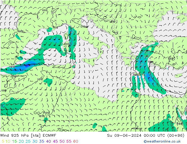 Viento 925 hPa ECMWF dom 09.06.2024 00 UTC