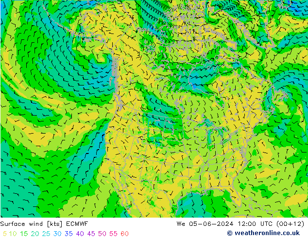 Bodenwind ECMWF Mi 05.06.2024 12 UTC