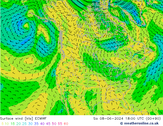 Surface wind ECMWF So 08.06.2024 18 UTC