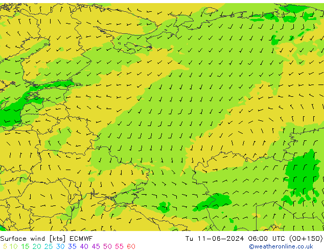 ветер 10 m ECMWF вт 11.06.2024 06 UTC