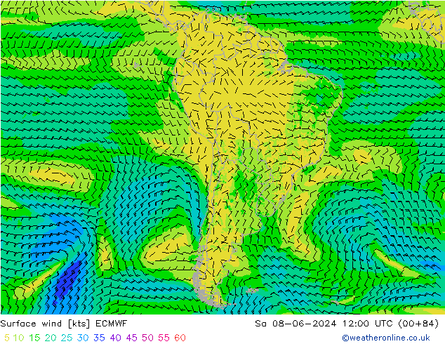 Surface wind ECMWF Sa 08.06.2024 12 UTC