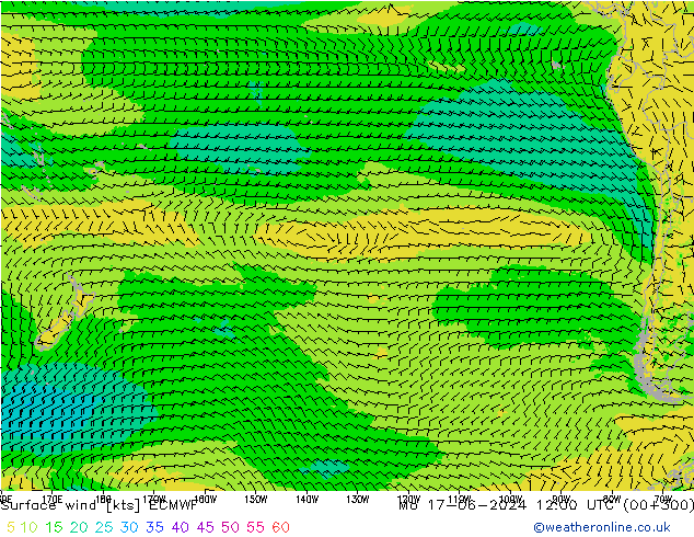 Bodenwind ECMWF Mo 17.06.2024 12 UTC