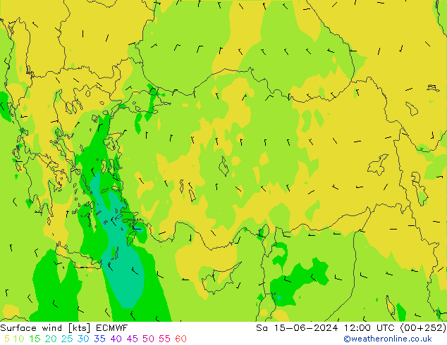 ветер 10 m ECMWF сб 15.06.2024 12 UTC