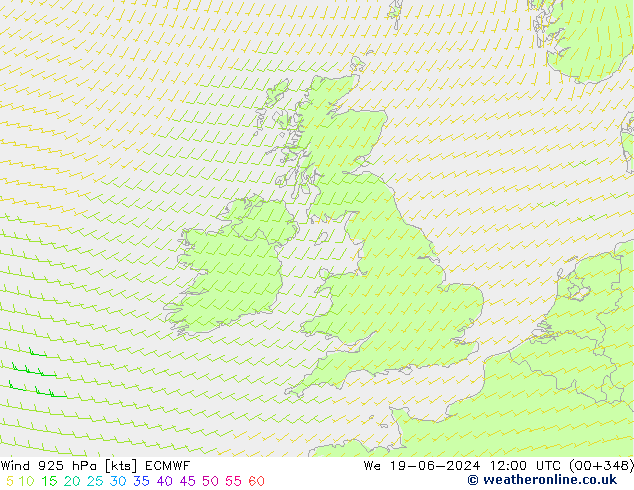 Wind 925 hPa ECMWF We 19.06.2024 12 UTC