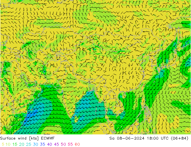 Viento 10 m ECMWF sáb 08.06.2024 18 UTC