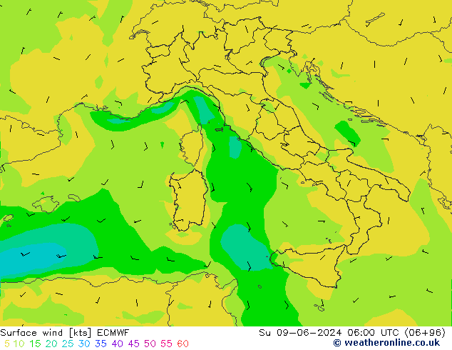 ветер 10 m ECMWF Вс 09.06.2024 06 UTC