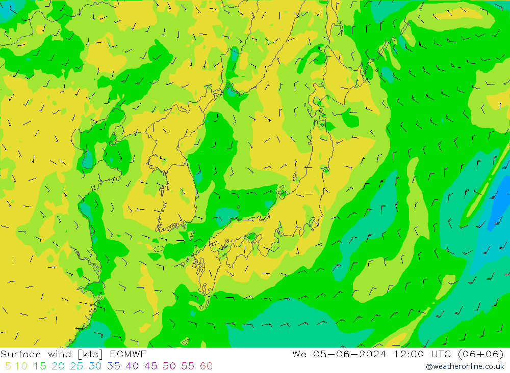 Bodenwind ECMWF Mi 05.06.2024 12 UTC