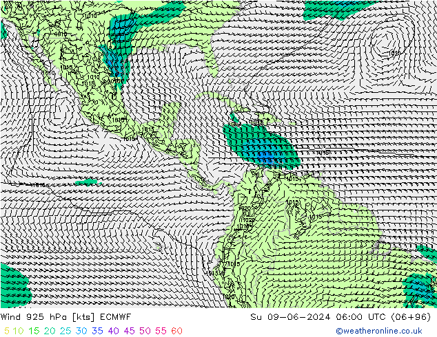  925 hPa ECMWF  09.06.2024 06 UTC