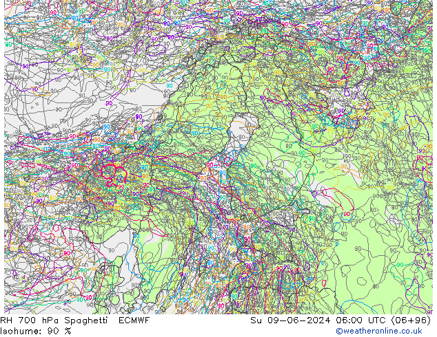 Humedad rel. 700hPa Spaghetti ECMWF dom 09.06.2024 06 UTC