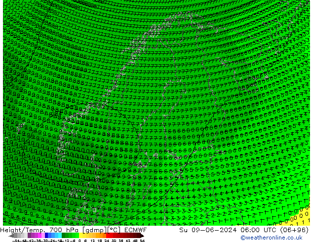 Height/Temp. 700 hPa ECMWF Su 09.06.2024 06 UTC